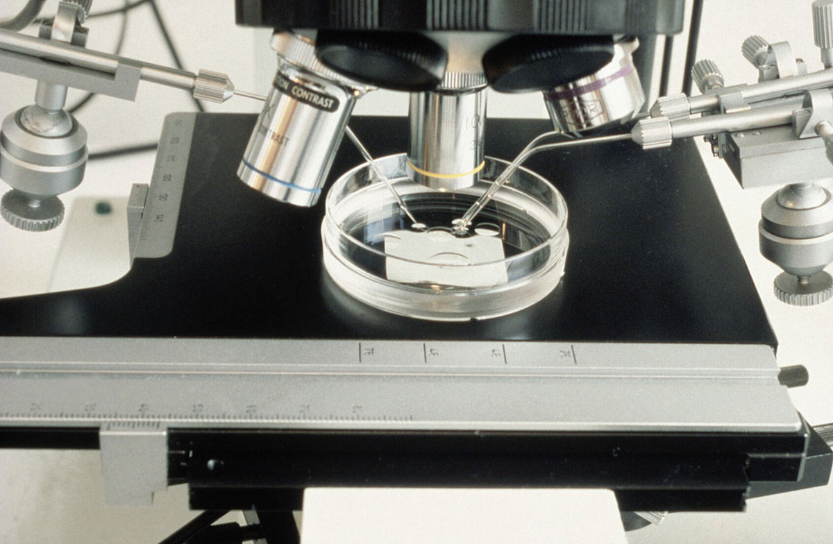 Micromanipulation equipment used for embryo biopsy.